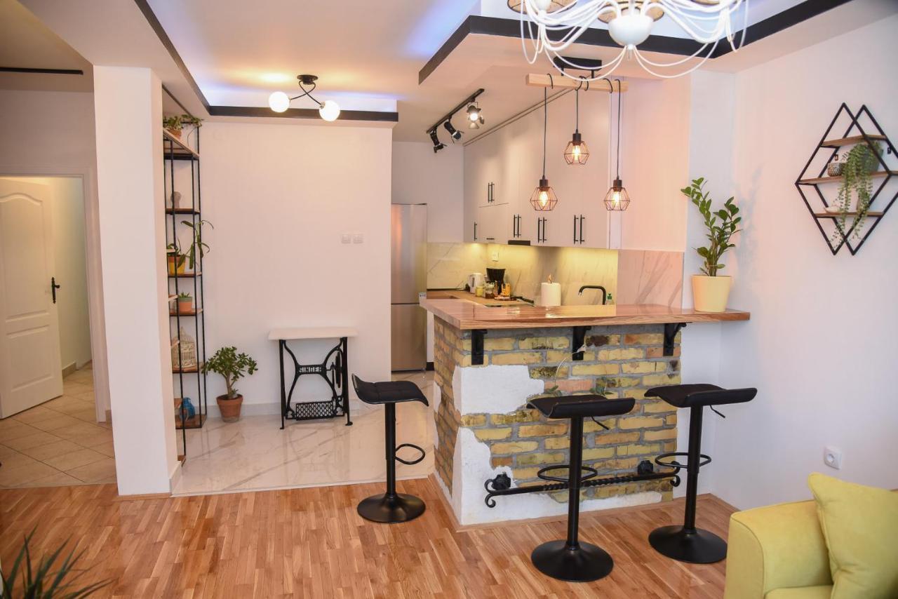 Garden Apartment - Oaza U Centru Grada Novi Sad Ngoại thất bức ảnh