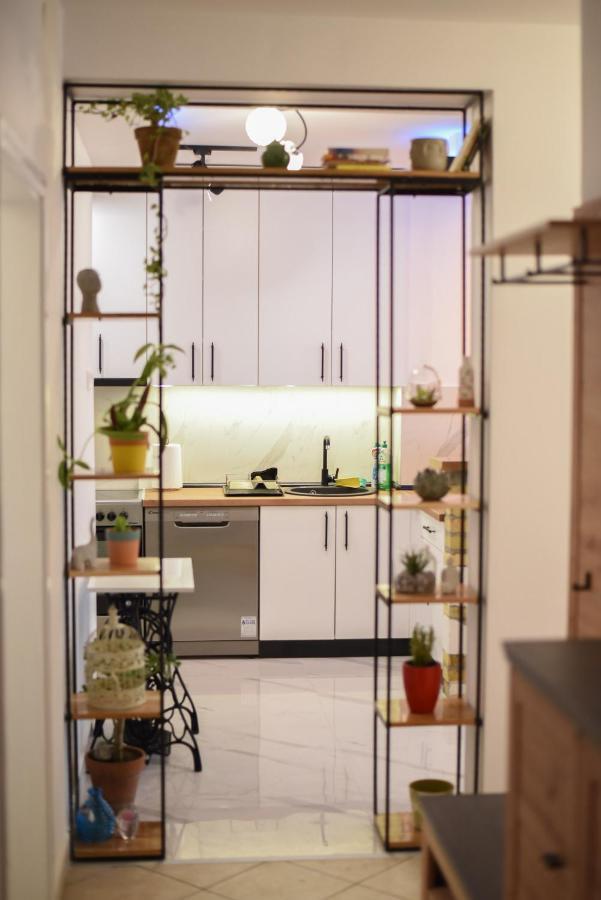 Garden Apartment - Oaza U Centru Grada Novi Sad Ngoại thất bức ảnh