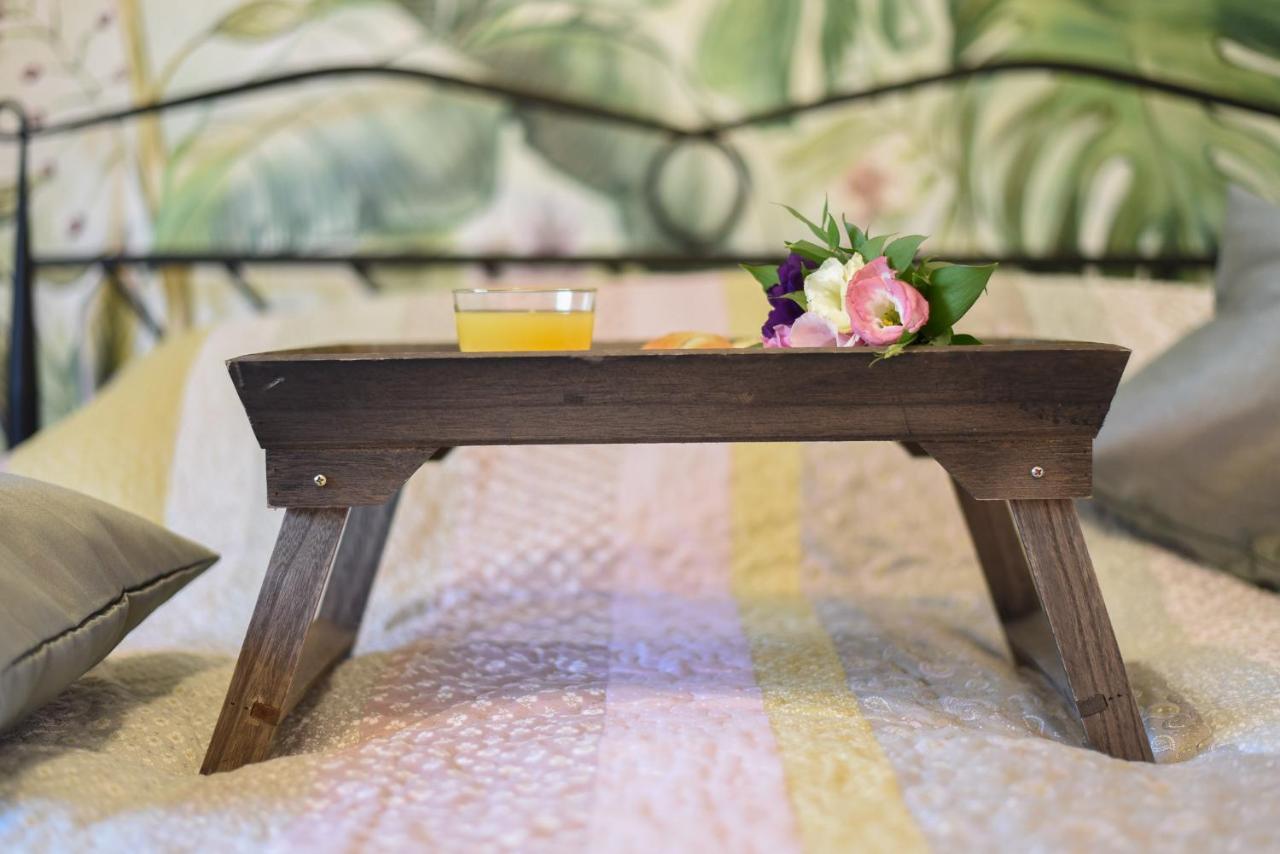 Garden Apartment - Oaza U Centru Grada Novi Sad Ngoại thất bức ảnh